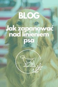 Linienie psa - jak zapanować nad zrzucaniem sierści ?